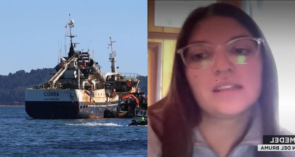 «Nadie se va a salvar de la conciencia»: el fuerte mensaje de la familia Bruma tras colisión fatal