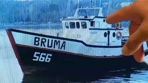 Caso Bruma: vocera acusa a Blumar de “parafernalia” para ocultar responsabilidades