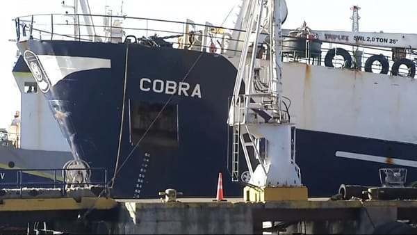 «Lo vimos con nuestros propios ojos»: Nuevas pruebas remece el caso bruma tras peritaje al buque Cobra