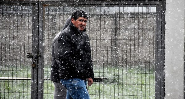 Lluvias, nieve y heladas: emiten urgente aviso para cuatro regiones por fuerte sistema frontal